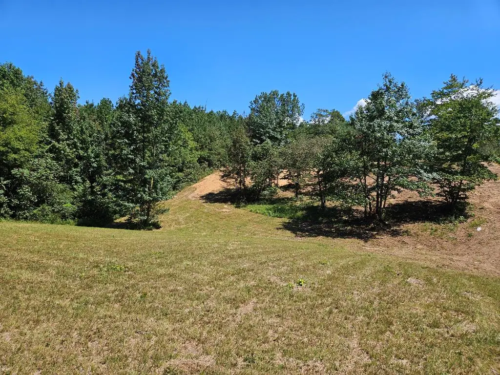 0 Maple Grove Church Road, Chatsworth, GA 30705 - #1