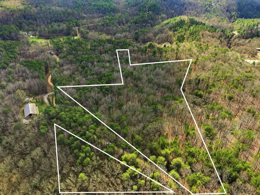 64 Bull Gap Road, Talking Rock, GA 30175 - #2