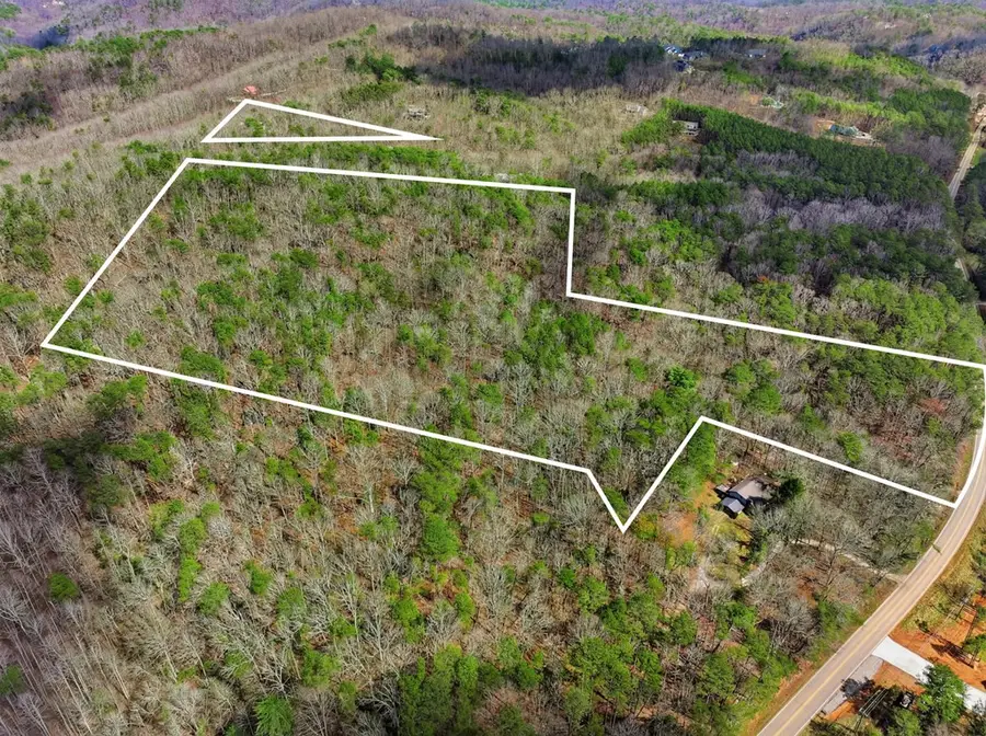 64 Bull Gap Road, Talking Rock, GA 30175 - #3