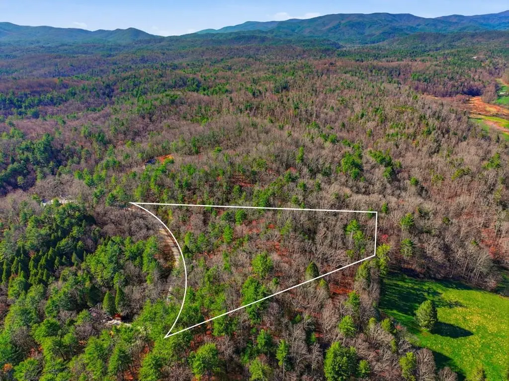 Lot 24 Pickett Mill Lane, Ellijay, GA 30540 - #1