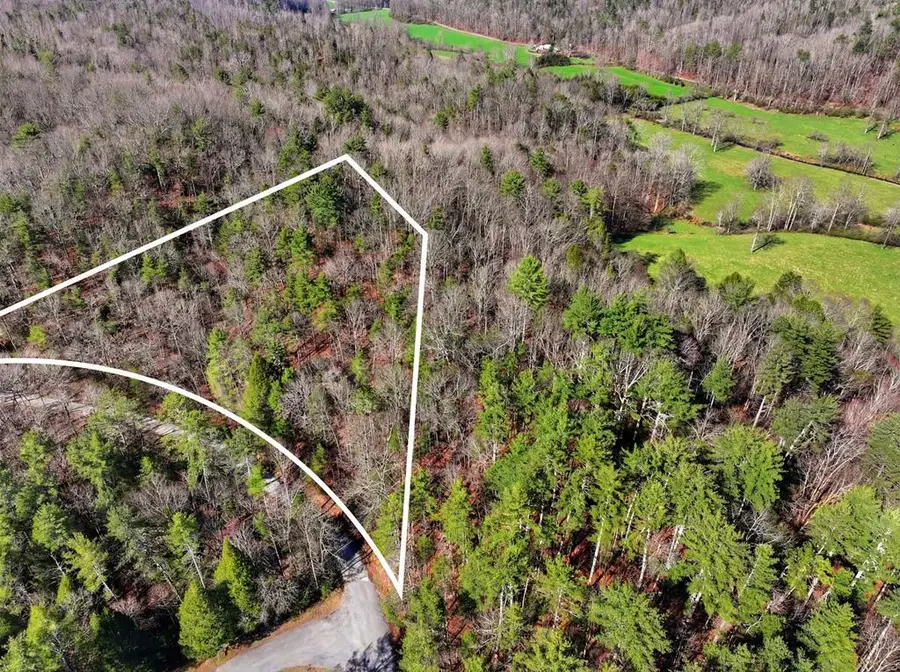 Lot 24 Pickett Mill Lane, Ellijay, GA 30540 - #2
