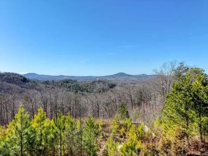 Lot 364 Thirteen Hundred, Blairsville, GA 30512 - #1