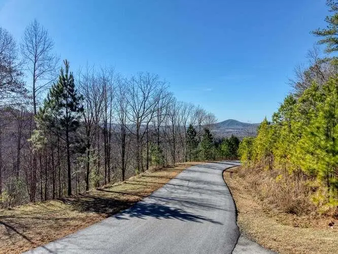 Lot 364 Thirteen Hundred, Blairsville, GA 30512 - #2