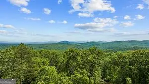 769 Voylestown Road, Morganton, GA 30560 - #1