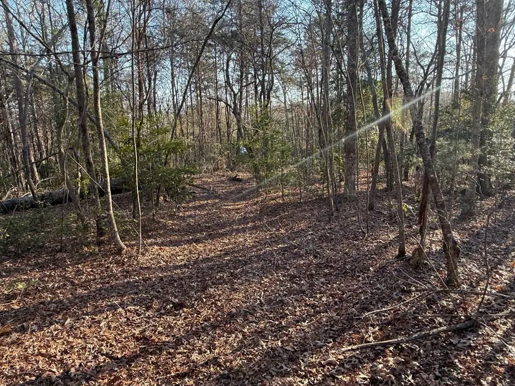 Lot 4 Willow Ridge, Warne, NC 28909 - #1