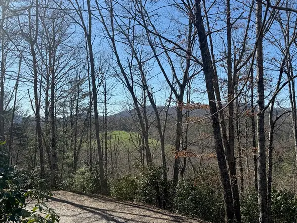 Lot 4 Willow Ridge, Warne, NC 28909