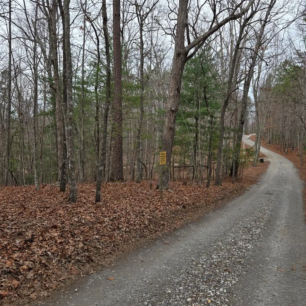 8.5 Blue Berry Ridge, Morganton, GA 30560 - #1