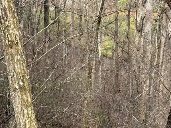 #15A Mossy Oaks Lane, Hiawassee, GA 30546