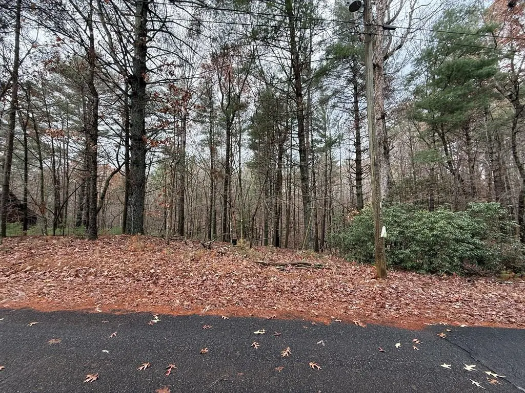 Lot 235 Toccoa Court, Ellijay, GA 30540 - #1