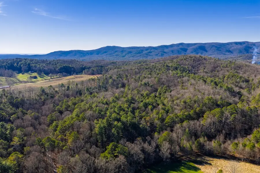 17.29 ac Pleasant Oak Trail, Ellijay, GA 30540 - #2