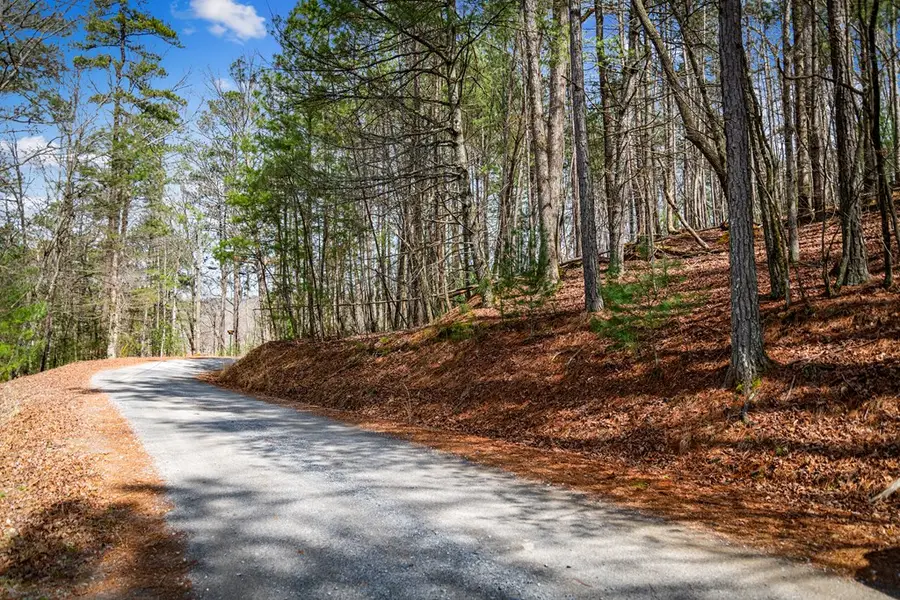 Lot 2326 Faraday Drive, Ellijay, GA 30540 - #3
