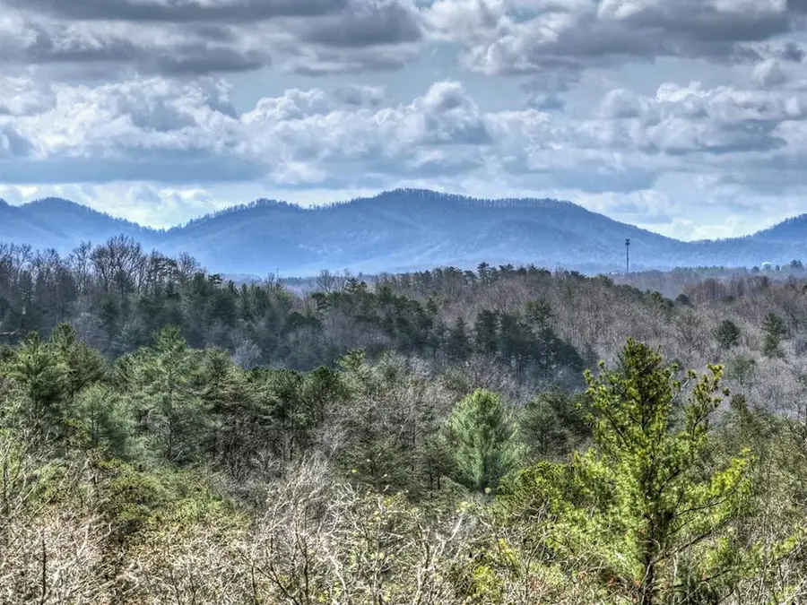 386 Mountain Laurel Ridge, Mineral Bluff, GA 30559 - #3