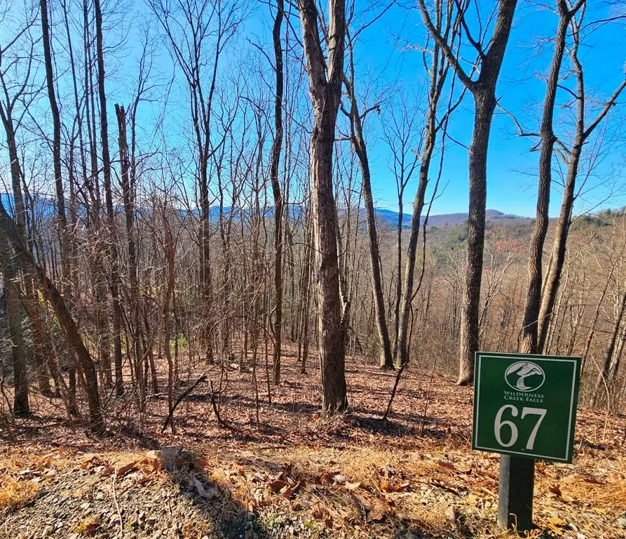 Lot 67 Wilderness Creek Way, Hothouse, NC 28906 - #1