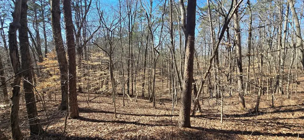 Tract 2 Friendship Trail, Talking Rock, GA 30175 - #1
