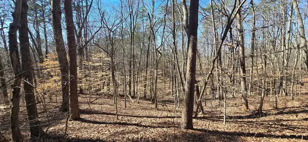 Tract 2 Friendship Trail, Talking Rock, GA 30175