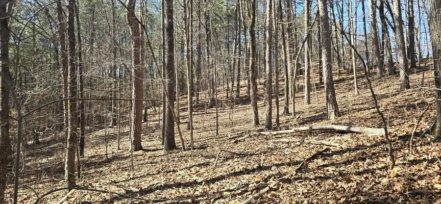 Tract 2 Friendship Trail, Talking Rock, GA 30175 - #3