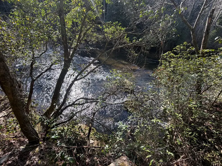 5 Acres Frogtown Place, Dahlonega, GA 30533 - #3