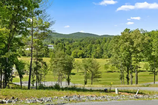 Lot 4 Ridge Drive, Morganton, GA 30560