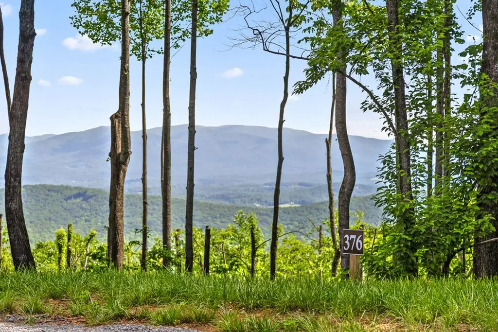 Lot 376 Calloway Mountain Road, Talking Rock, GA 30175 - #1