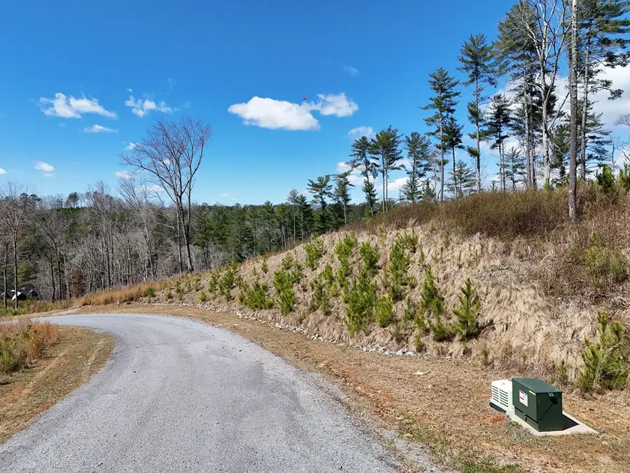Lot 253 High River Crossing, Ellijay, GA 30540 - #2