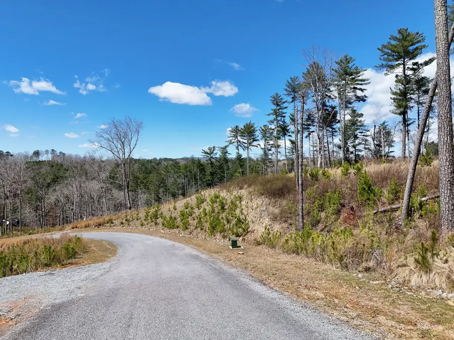 Lot 253 High River Crossing, Ellijay, GA 30540 - #3