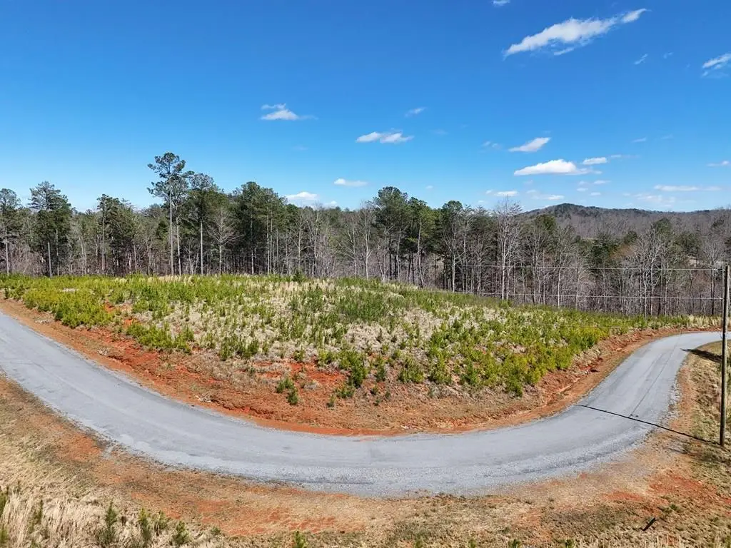 155 Shallow Water Trail, Talking Rock, GA 30175 - #1