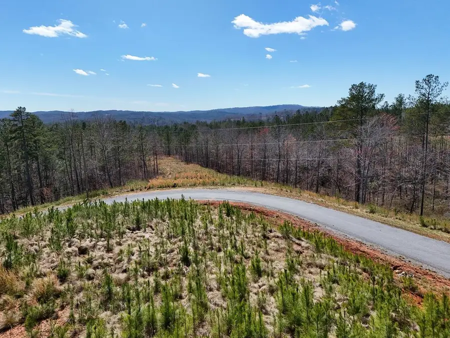 155 Shallow Water Trail, Talking Rock, GA 30175 - #2