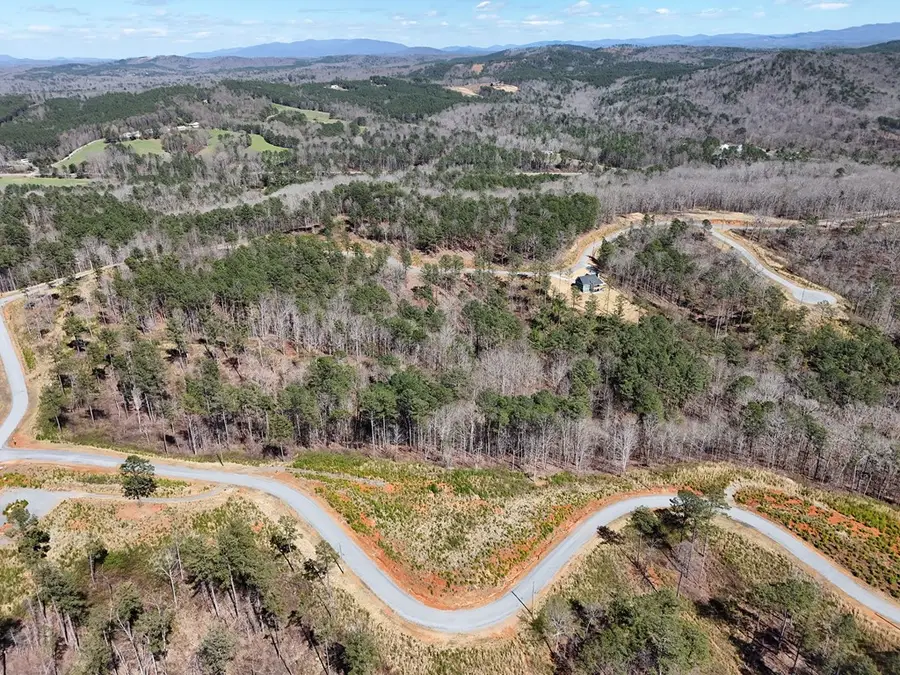 155 Shallow Water Trail, Talking Rock, GA 30175 - #3