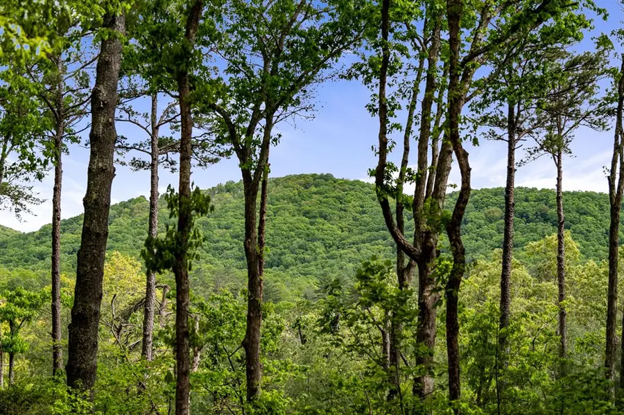 245 Old Anderson Creek, Ellijay, GA 30536 - #2