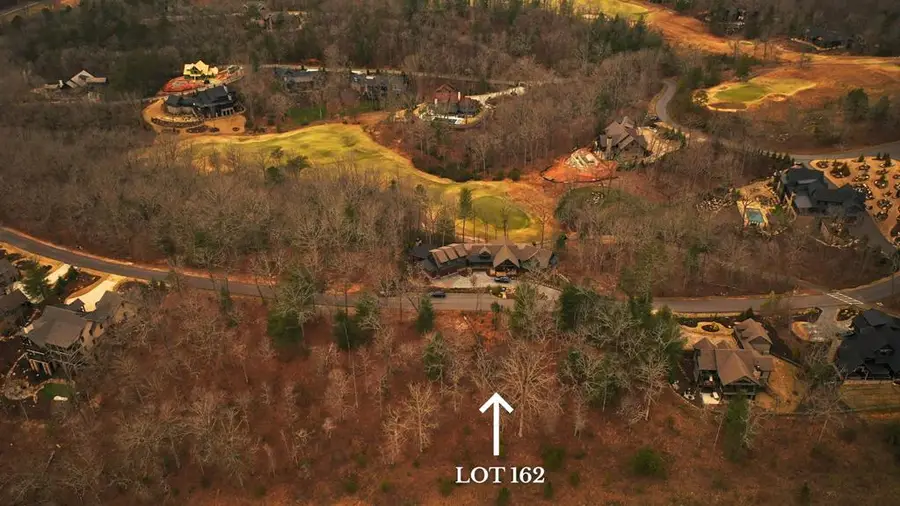 LT 162 Hickory Way, Mineral Bluff, GA 30559 - #3