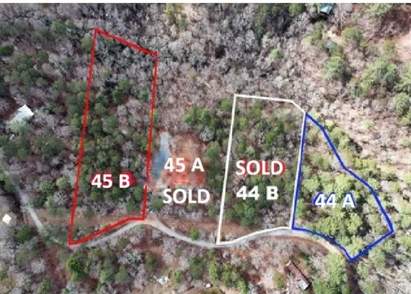 Lot 44A Synacia Drive, Mineral Bluff, GA 30559 - #2
