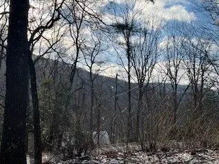 0 Gainesville Hwy, Blairsville, GA 30512 - #2