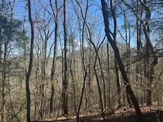 Lot 14 Butler Creek Road, Cherry Log, GA 30522