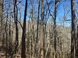 Lot 14 Butler Creek Road, Cherry Log, GA 30522 - #3