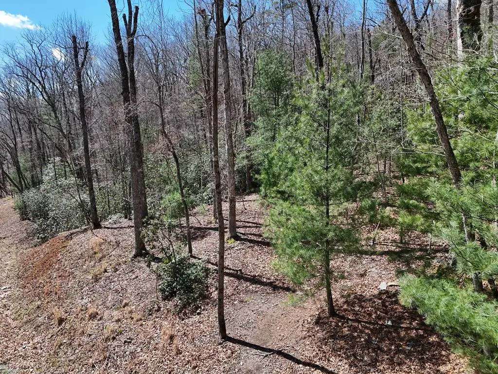 Lot 9 Native Trail, Blue Ridge, GA 30513 - #1