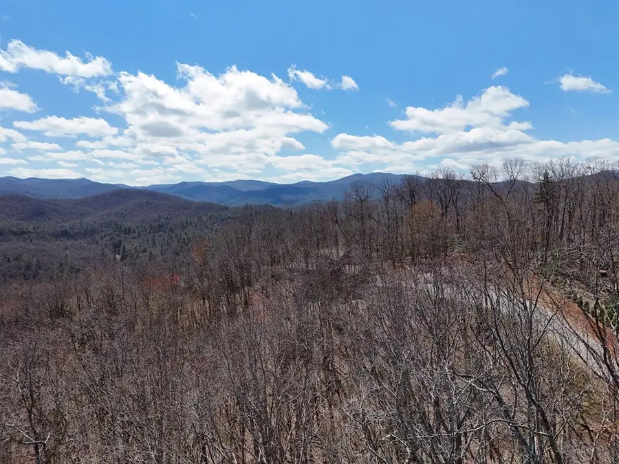 Lot 12 Native Trail, Blue Ridge, GA 30513 - #3