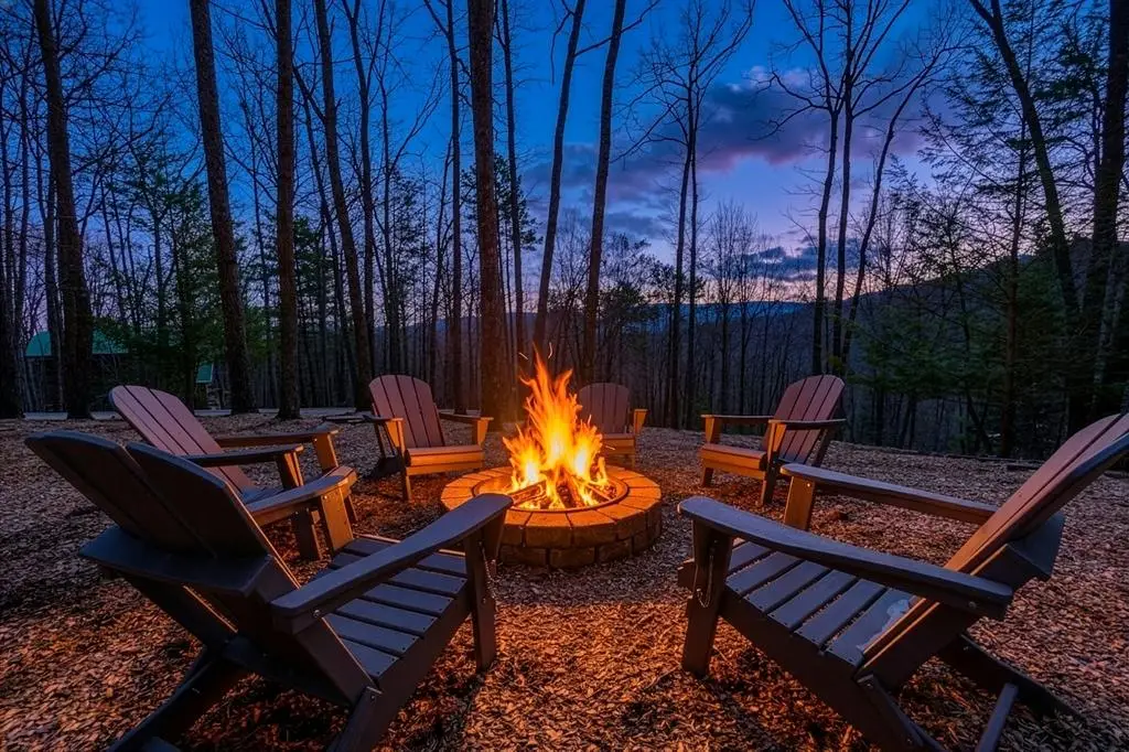 494 Lower Prince Mountain Road, Cherry Log, GA 30522 - #1