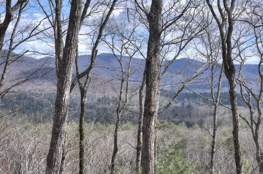 LT 14R Tanager Trail, Ellijay, GA 30536 - #2