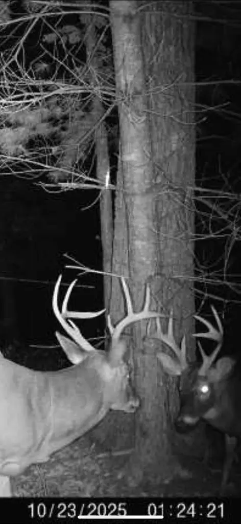 00 Culberson Ranch, Murphy, NC 28906