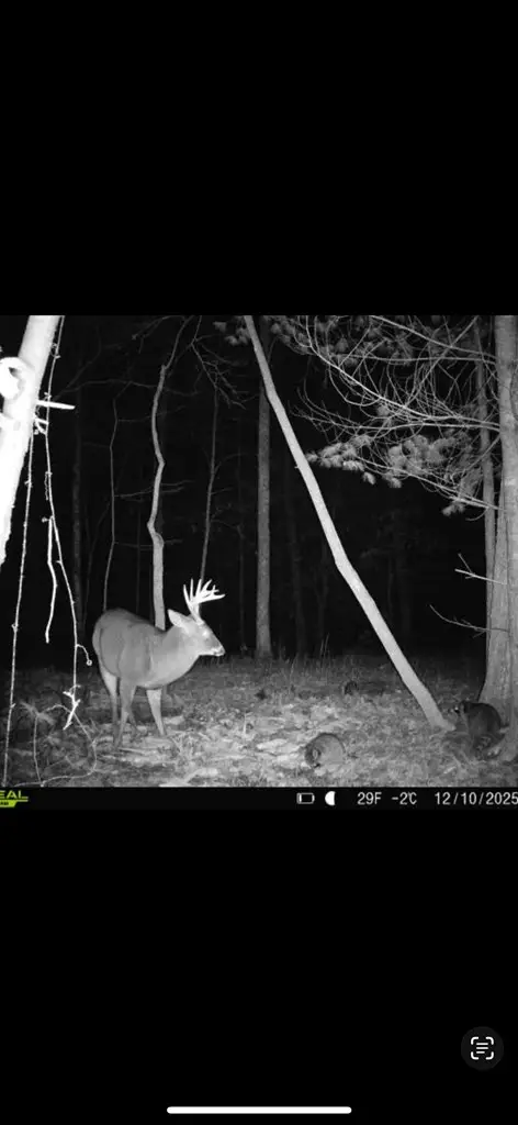 00 Culberson Ranch, Murphy, NC 28906 - #2