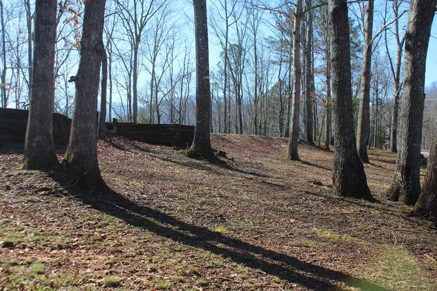 1017 Laurel Branch Road, Hayesville, NC 28904 - #3