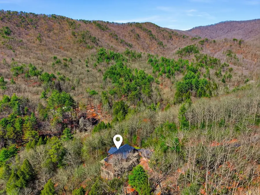 124 Wilderness Way, Ellijay, GA 30536 - #3