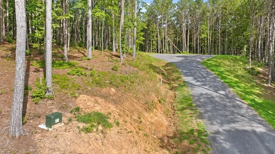 Lot 452 Woodward Way, Talking Rock, GA 30175 - #3