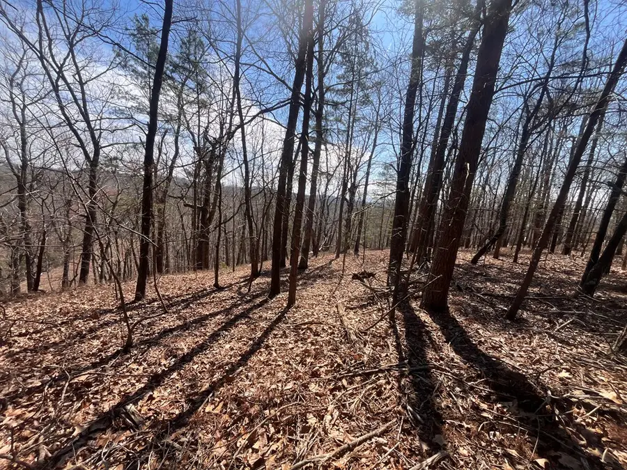 Lt 156 Drena Drive, Ellijay, GA 30540 - #3