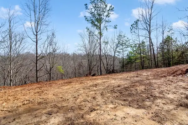 30 William Way, Ellijay, GA 30540