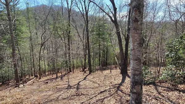 Lot 24 Pine Log Circle, Warne, NC 28909