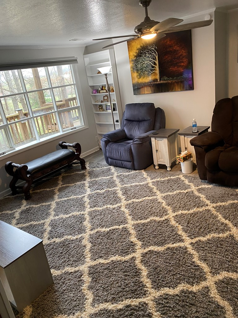 249 Shady Grove Lane, Hayesville, NC 28904 - #3