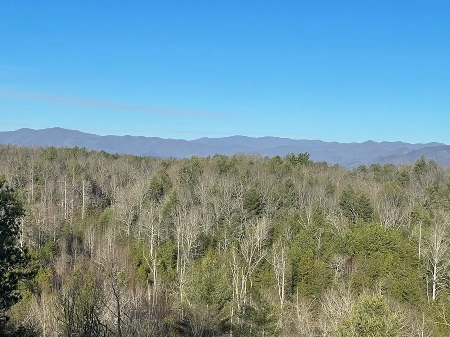 22 Hudson Springs Lane, Murphy, NC 28906 - #2