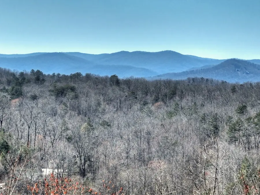 195 Trina Lane, Blue Ridge, GA 30513 - #2