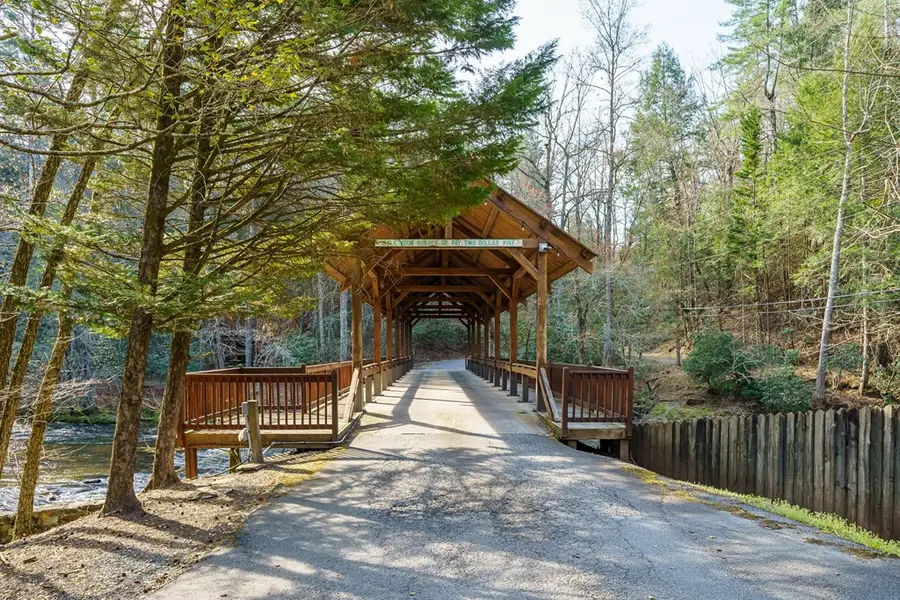 19 Blackberry Falls Lane, Ellijay, GA 30536 - #3